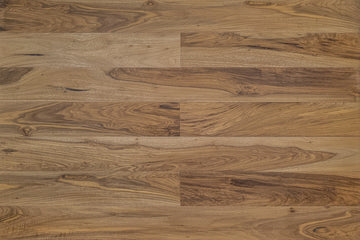 Cordia Bronze