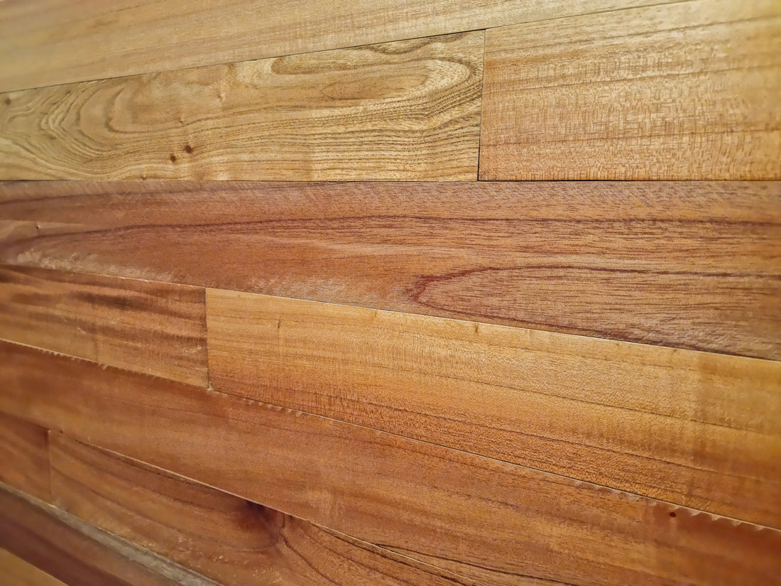 Cedar