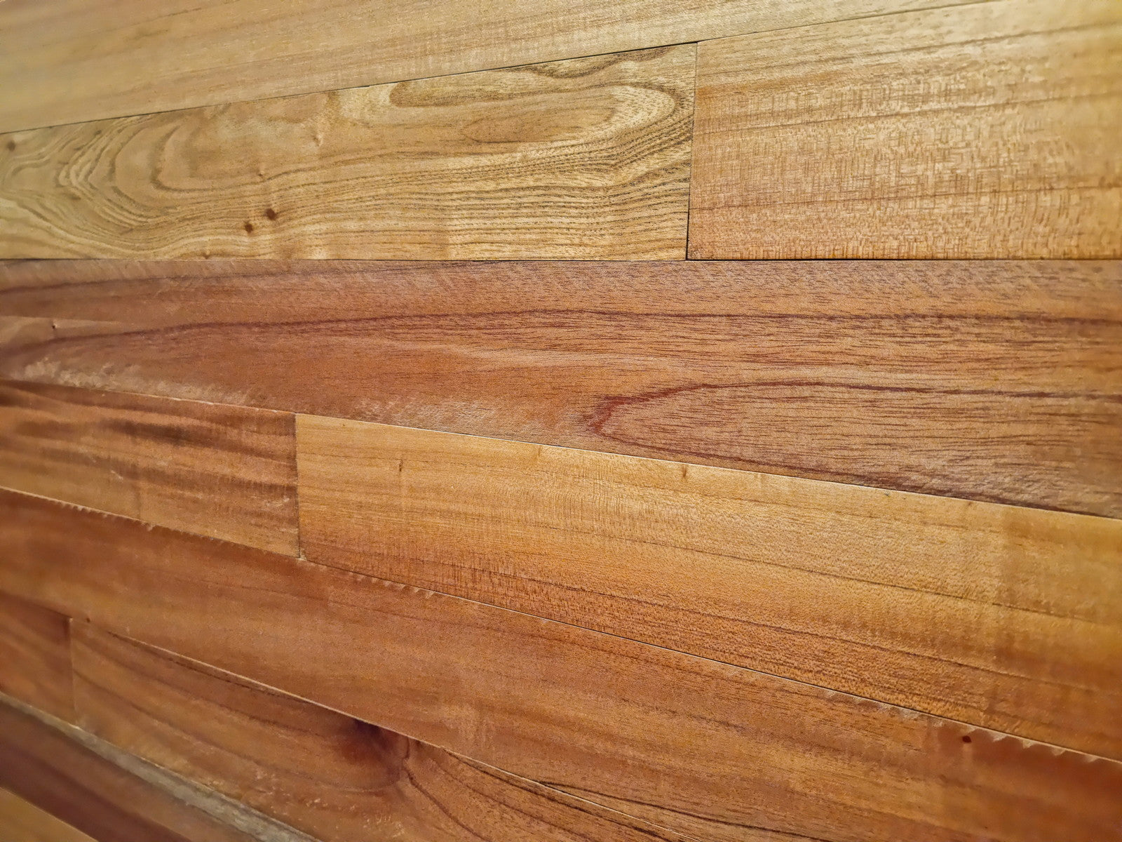 Cedar