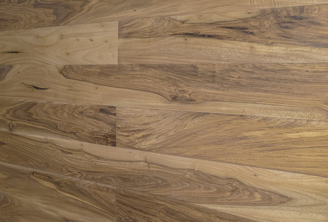 Cordia Bronze