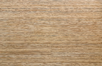 Lines