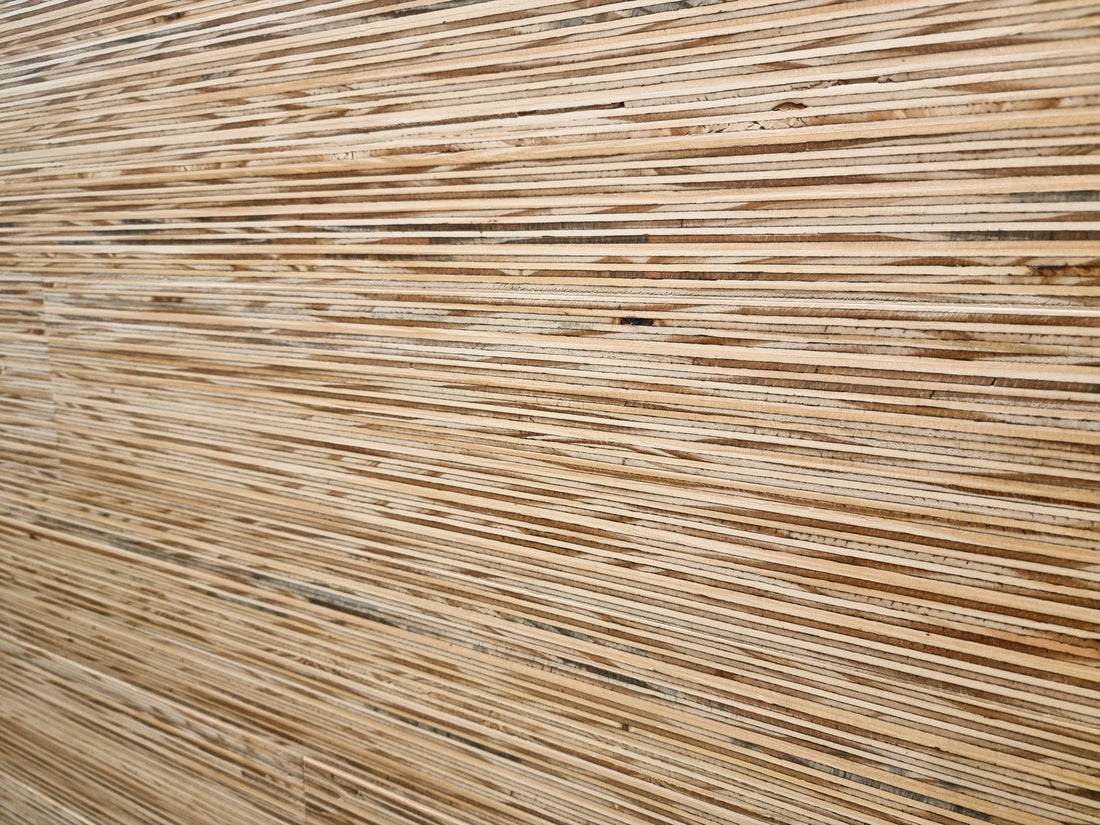 Lines